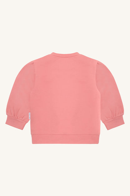 HCSara Kitten love - Color 3709