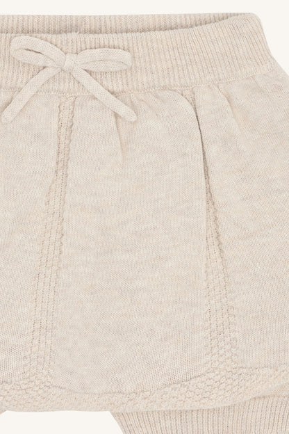 HCHolli garden - Color 1262