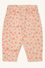 Wild Coral