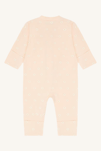 HCMich Elemen - Color 3763