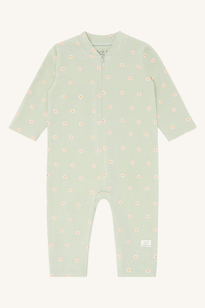 HCMich Elemen - Color 3901