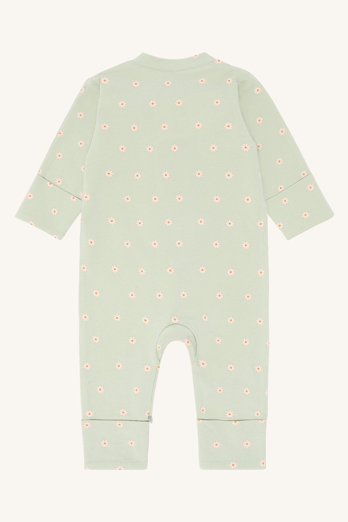 HCMich Elemen - Color 3901