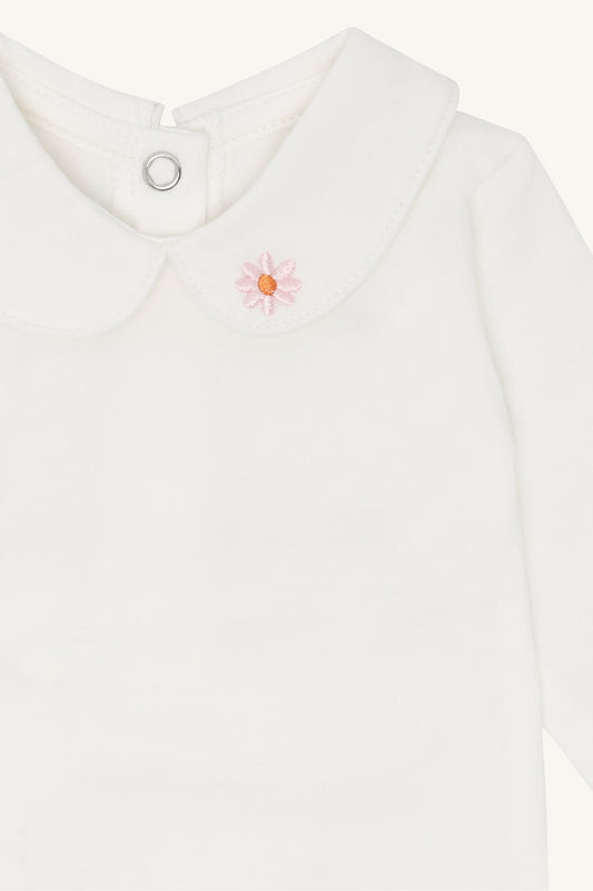 HCBBebe Collar - Color 3763