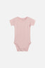 Dusty Rose