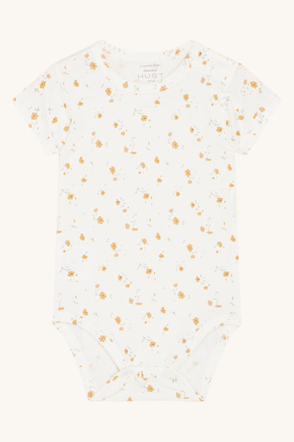 3270