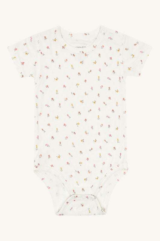 HCBuller Vintage - Color 3270