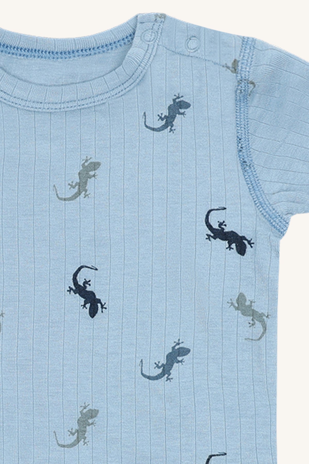 HCBuller Lizards - Color 3157