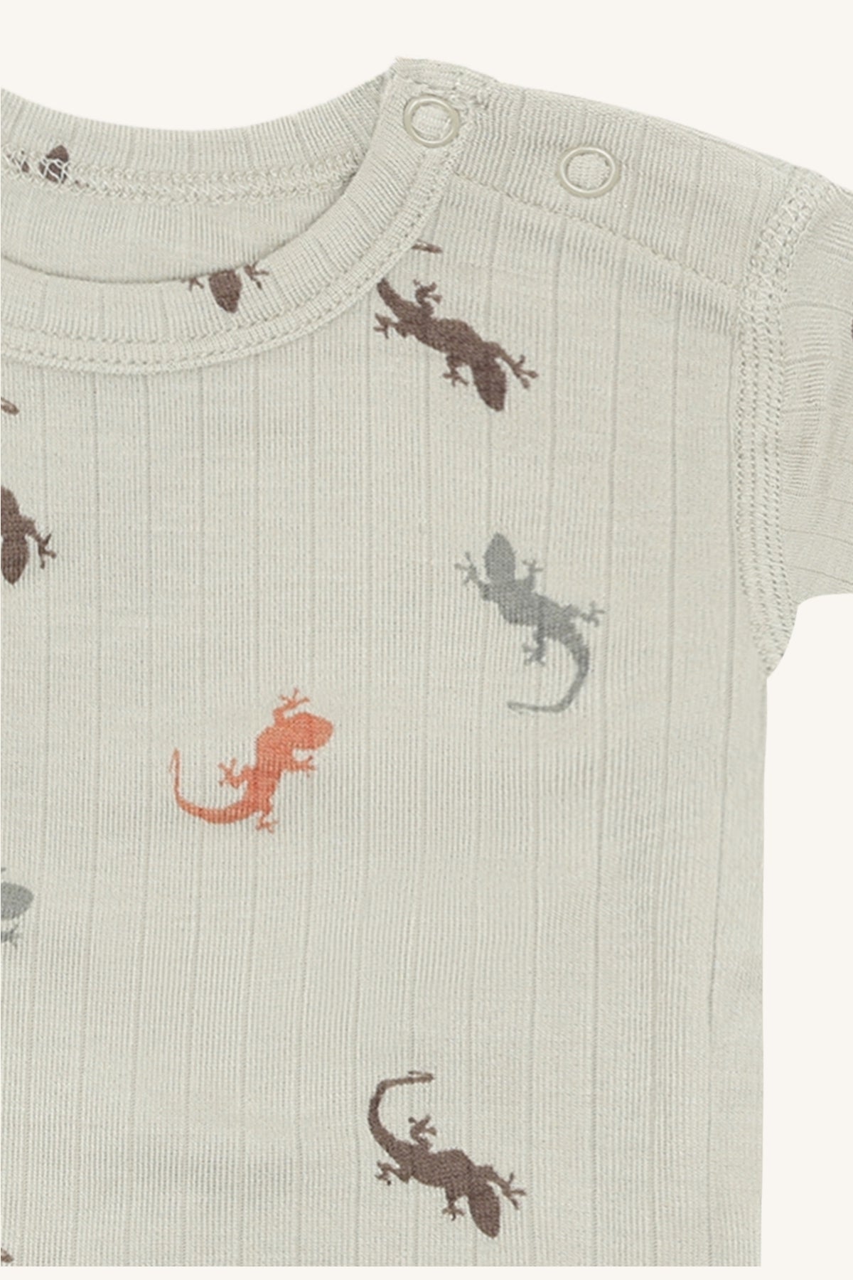 HCBuller Lizards - Color 4416