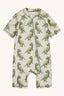 Seagrass