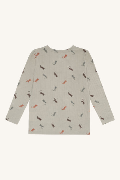 HCAustin Lizards - Color 4416