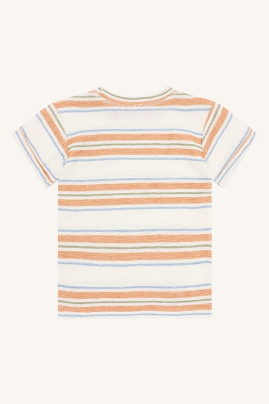 HCAnton Loop  Stripe - Color 3270