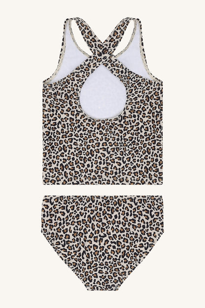 HCFaria - Color 4501