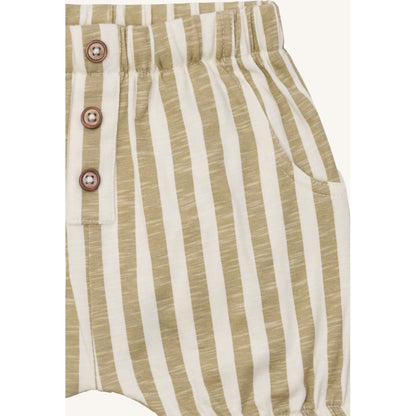 Hust & Claire Shorts HCHalvor Striped Shorts 4442 Green Bone